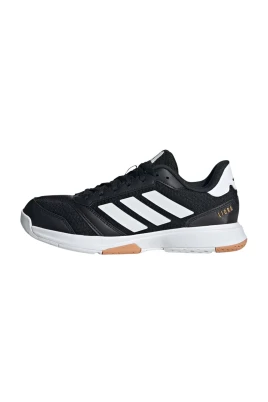 Ligra 8 Indoor