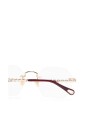 ch0270o-001-optical-frame