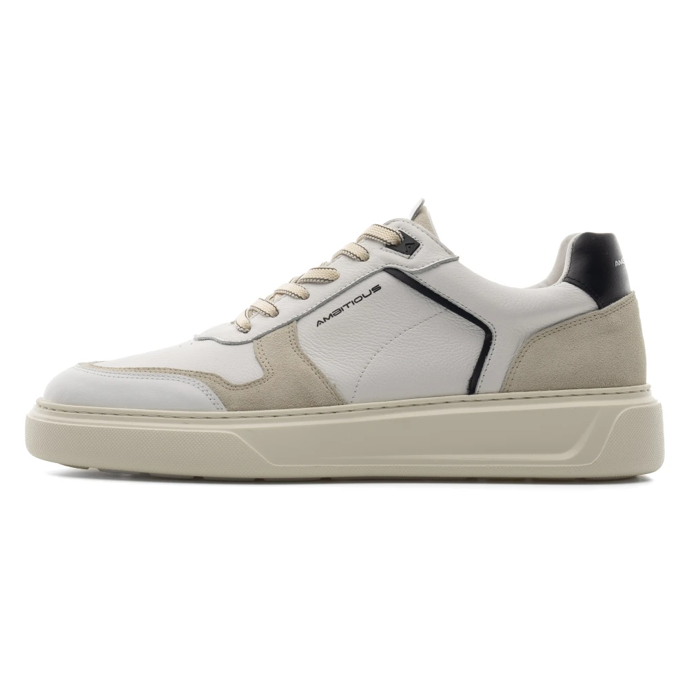 Ambitious KIT Panel Low-Top Heren Schoenen Veelkleurig Multicolor