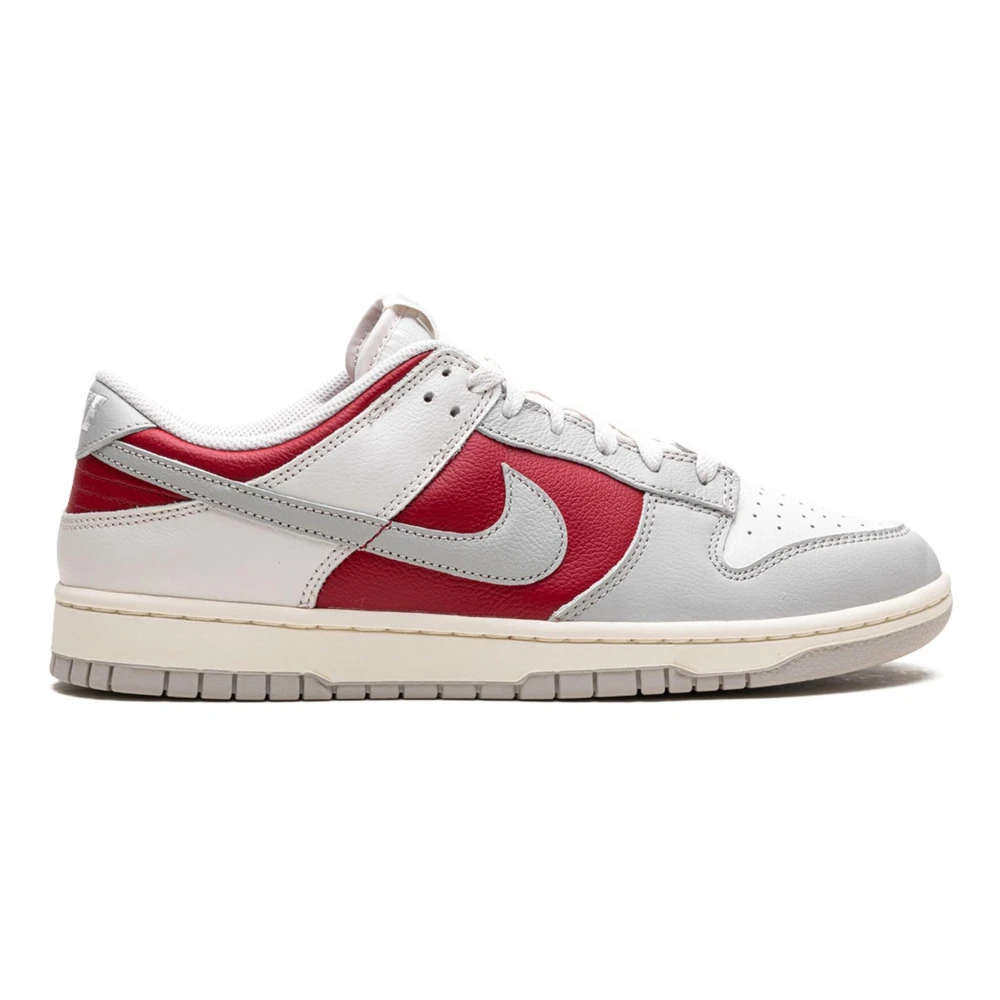 Nike Low Dunk Sneakers Multicolor, Herr