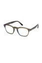 ft6033b-096-optical-frame