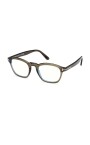 ft6033b-096-optical-frame