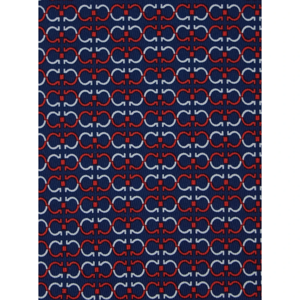 Salvatore Ferragamo Zelig Multicolor Zijden Stropdas Met All-Over Print Multicolor Heren
