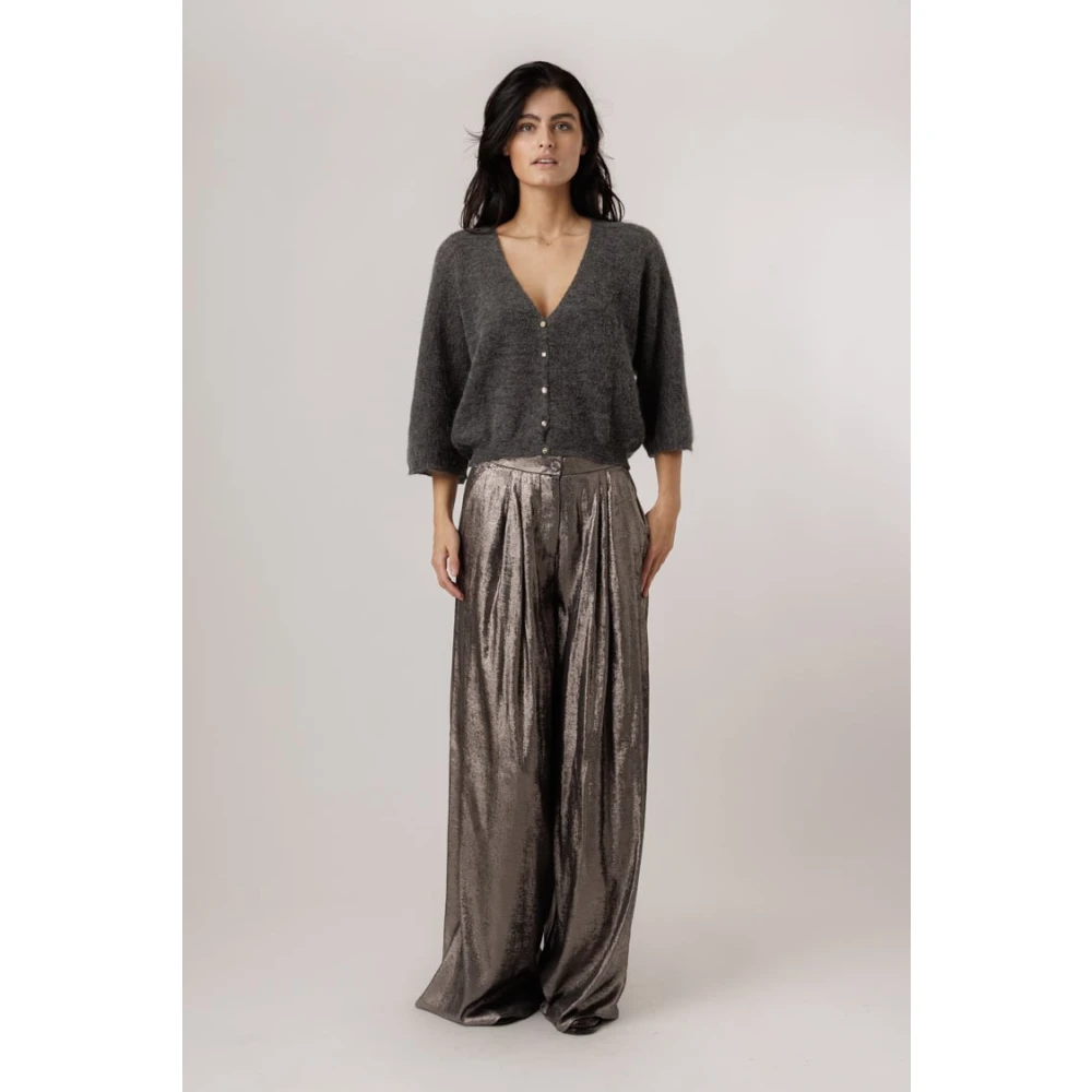 Momoni Zilveren Plooibroek met Paars Grijs Glas Gray Dames