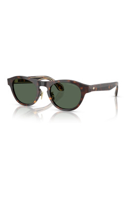 ar-8225-sunglasses-in-havana-dark-green