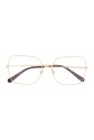 dg1323-02-optical-frame