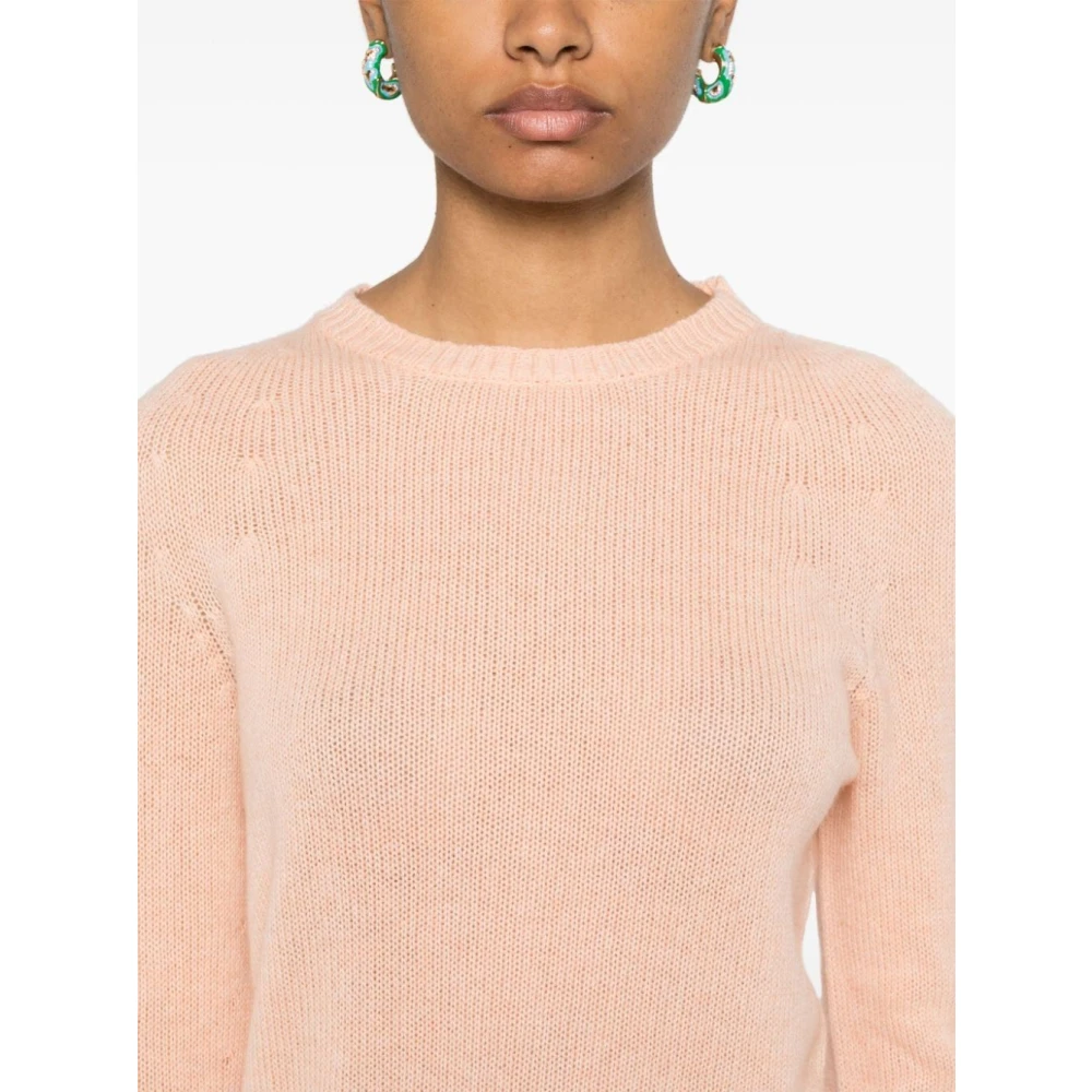 Fabiana Filippi Casual Jersey Top voor Vrouwen Pink Dames