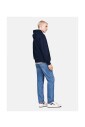 sweat-a-capuche-crest-drapeau