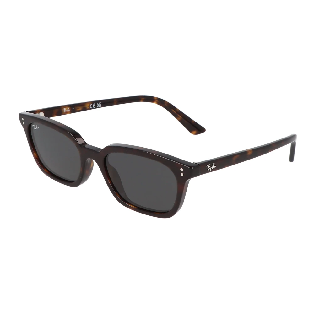 Ray-Ban Brown Sunglasses, Unisex, 53 Mm, Zaya Sunglasses
