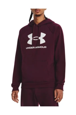 Athletic Höst/Vinter Sweatshirt Män