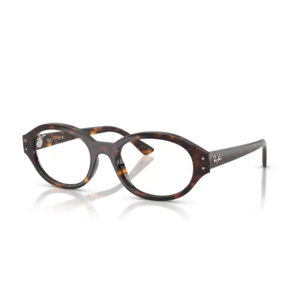 Ray-Ban Unisex Brown Vista Sunglasses