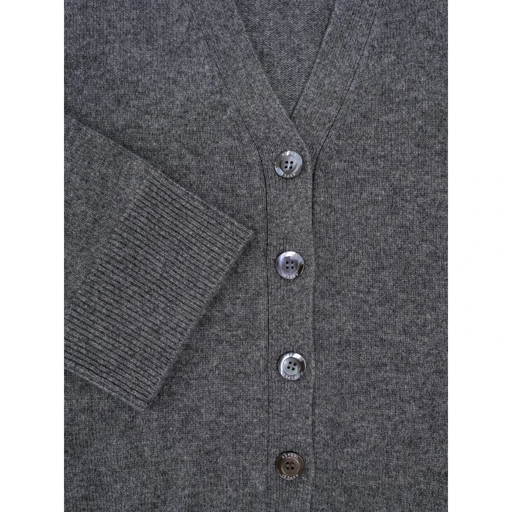 Aspesi Luxe Cashmere Vest in Donkergrijs Gray Heren