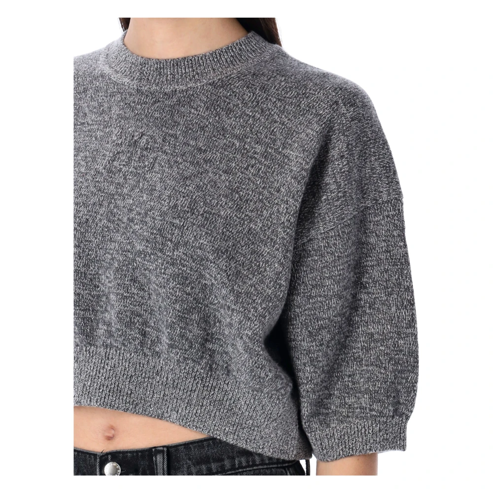 T by Alexander Wang Grijze Logo-Geëtste Cropped Sweater Gebreide kleding Gray Dames