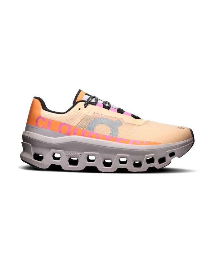 chaussures-de-course-cloudmonster