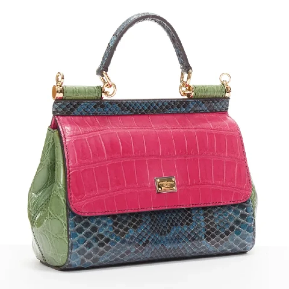 Dolce & Gabbana Pre-owned Leather handbags Multicolor Dames