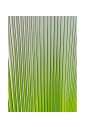 robe-longue-plissee-a-degrade-vert