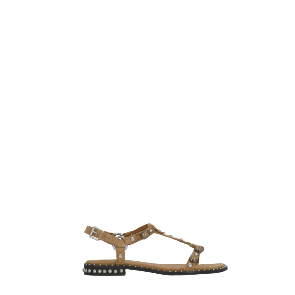 Ash Brown Flat Sandals, Female, 6 Uk, Podium Studded Sandal