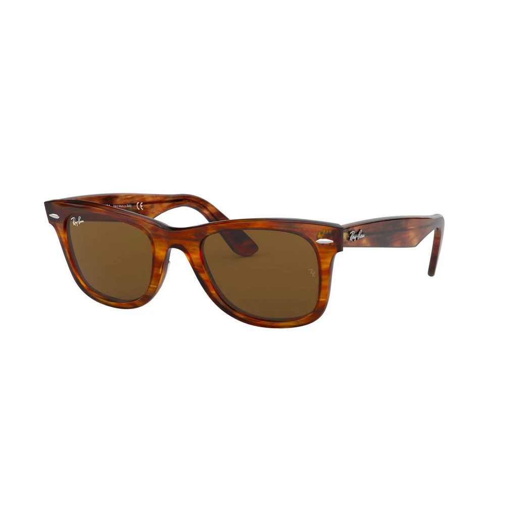 Ray-Ban Klassiska Wayfarer solglasögon Brown, Unisex