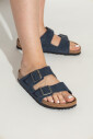 arizona-bs-slides