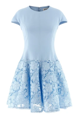 Crepe Lace Mini Dress