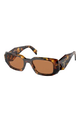 honey-tortoise-sunglasses