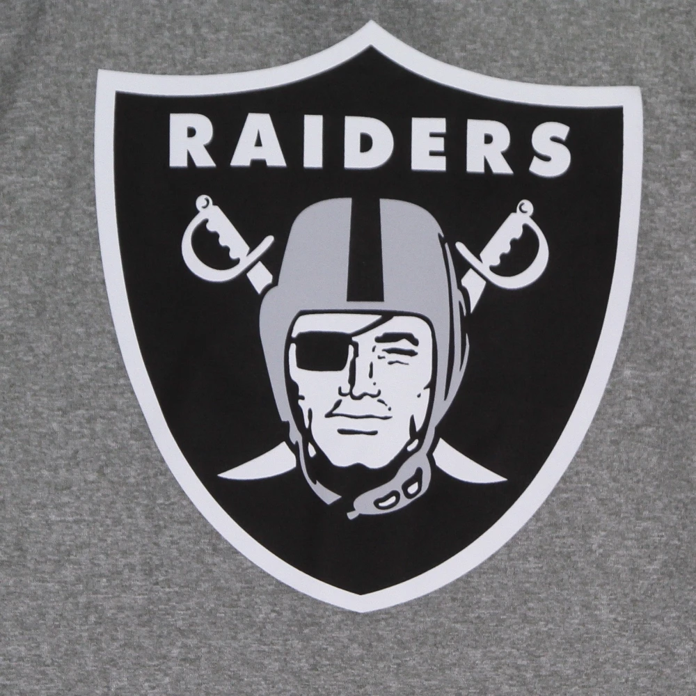 Nike NFL Logo Legend Tee Las Vegas Raiders Gray Heren