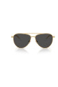 lunettes-de-soleil-sk7031-en-bleu