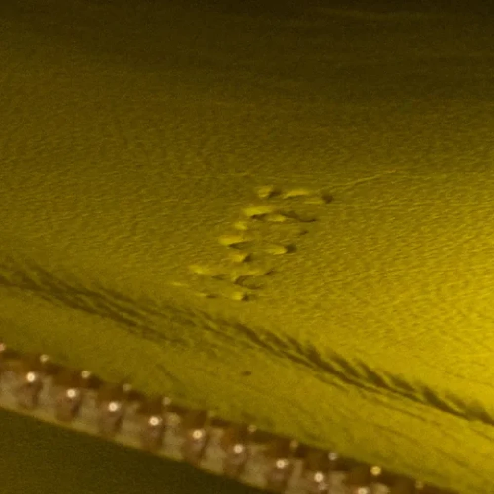 Celine Vintage Pre-owned Leather celine-bags Yellow Dames