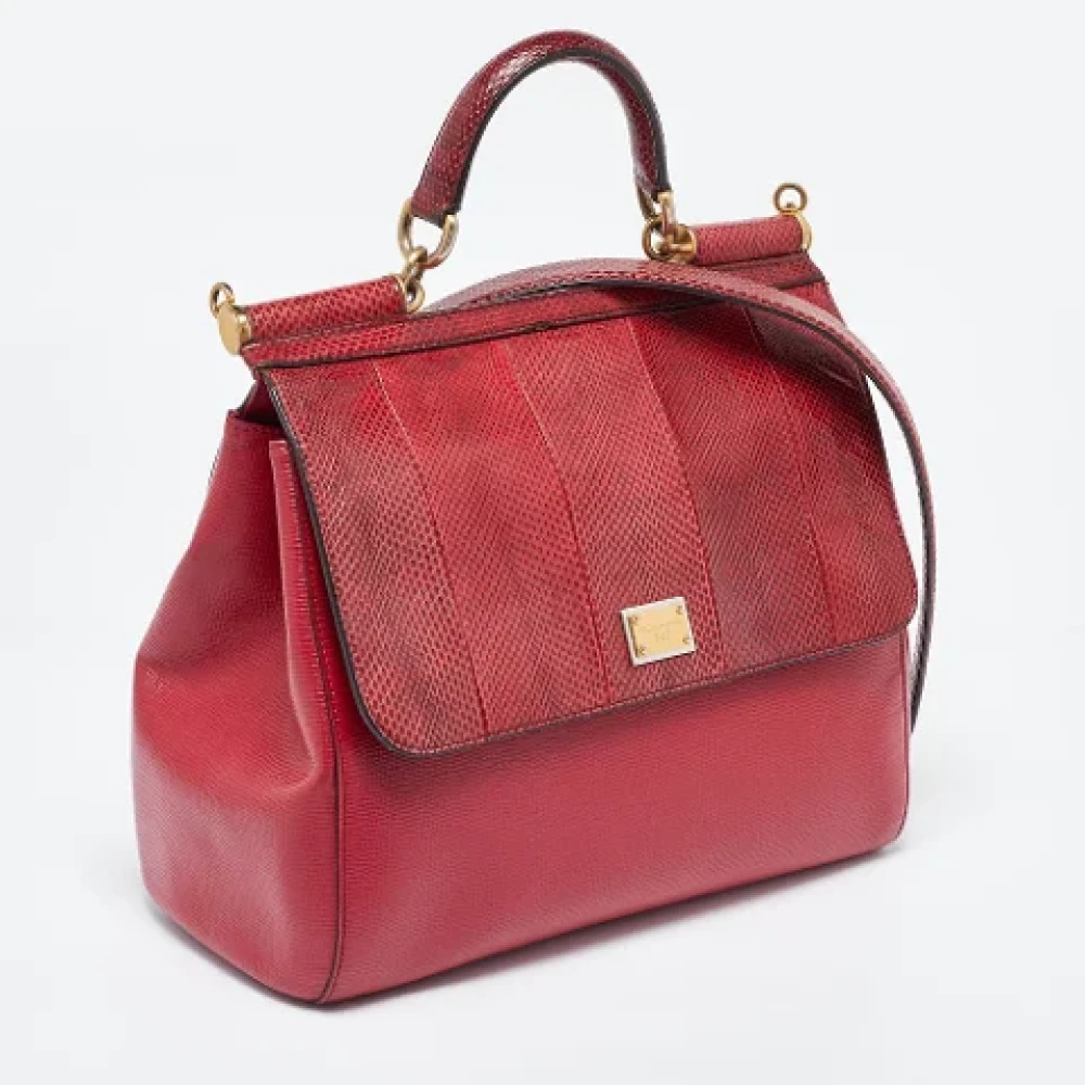 Dolce & Gabbana Pre-owned Leather handbags Red Dames