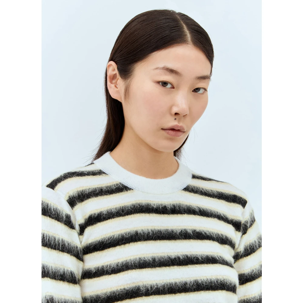 Marni Gestreepte Woltrui Multicolor Dames