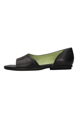 TARR3 Flat