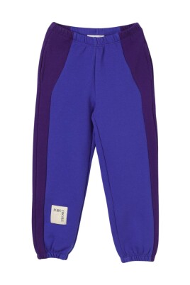 blue-colorblock-fleece-pants