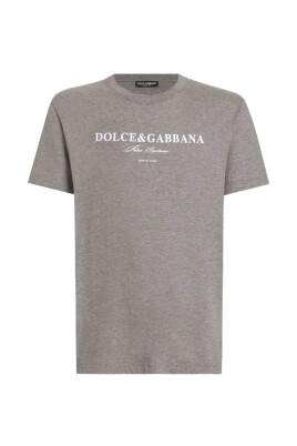grey-t-shirt-for-men-aw25