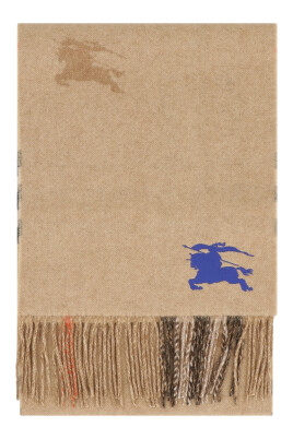 cashmere-reversible-fringed-scarf
