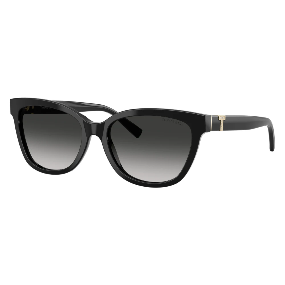 Tiffany Unisex Black Cat-Eye Sunglasses