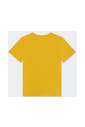 elephant-print-cotton-t-shirt