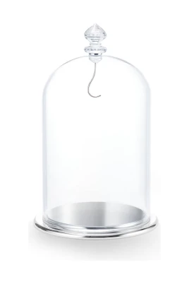 Bell Jar Display Large