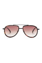 sterling-sunglasses