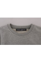 pull-gris-en-coton-avec-col-rond-et-logo-morellosaurs