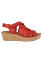 nature-is-future-wedges