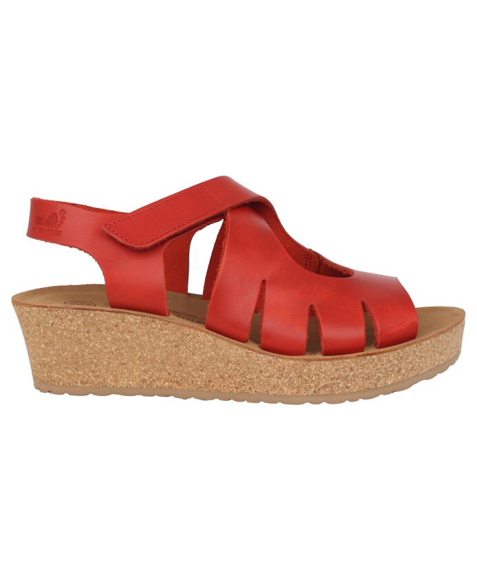 nature-is-future-wedges