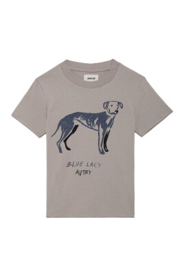 t-shirt-gris-et-polo-blue-lacy