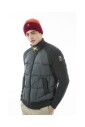 great-cardigan-hybrids