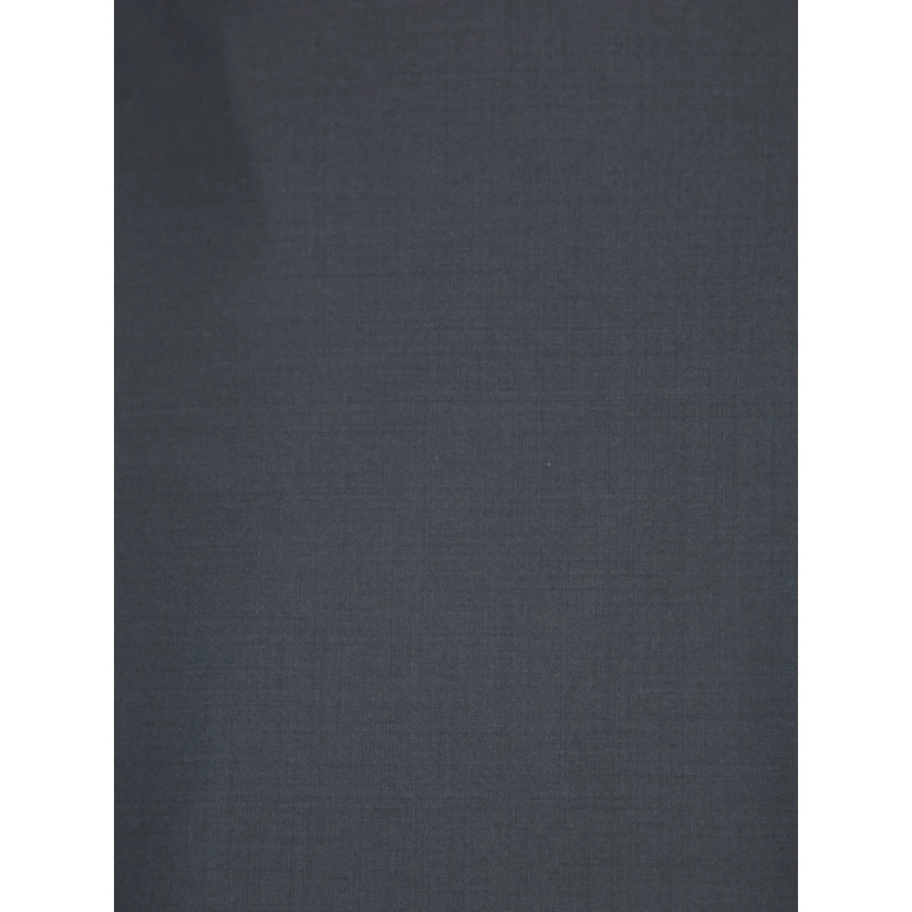 Fabiana Filippi Blauwe Rokken Aw24 Dameskleding Blue Dames