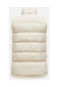 explorer-frost-vest