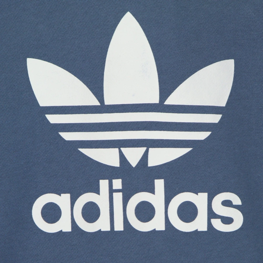 Adidas Blauwe Lichtgewicht Hoodie Trefoil Blue Heren