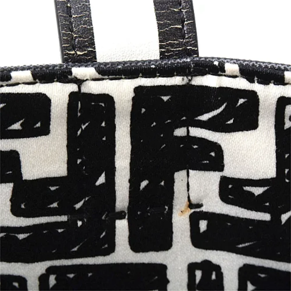 Fendi Vintage Pre-owned Canvas fendi-bags White Dames