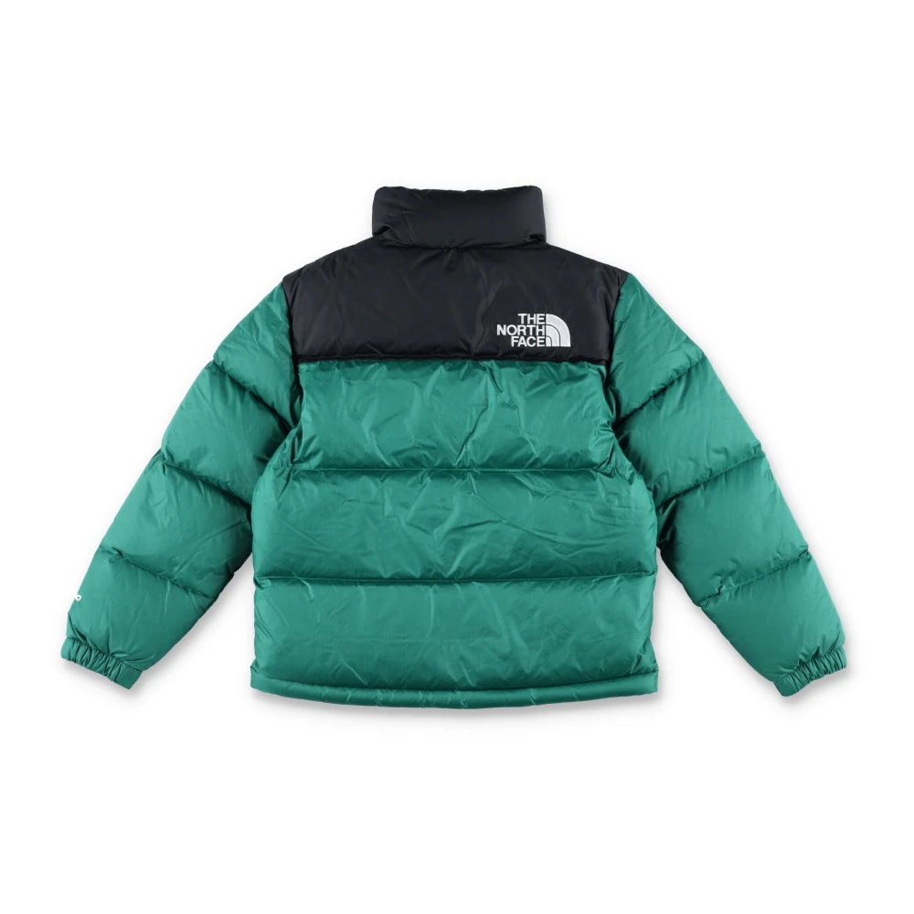 The North Face Retro Nuptse Donsjack Groen Zwart Green Heren