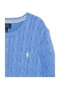 blue-sweater-with-pony-motif
