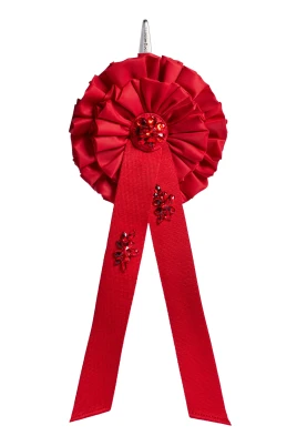 Embellished Ribbon Rosette Coin Purse